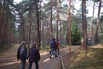 Bild  tr_7217